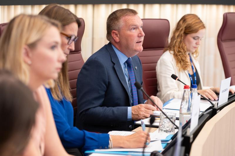 Michael McGrath during a European Parliament LIBE meeting. Photograph accompanying the report on the September parliamentary exchange.